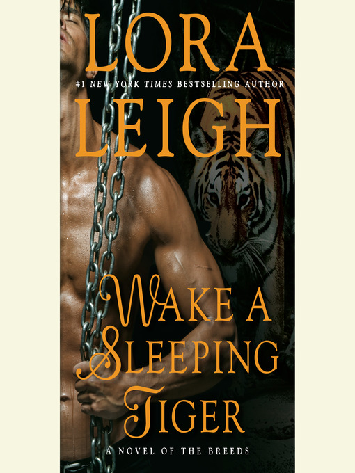 Cover image for Wake a Sleeping Tiger